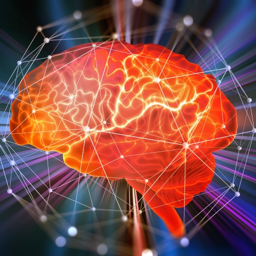 Central-Sensitization-iMove-Physcial-Therapy-St-Louis-Joplin-Chesterfield-Kansas-City-Joplin-MO-Tulsa-OK-Metro-East-IL